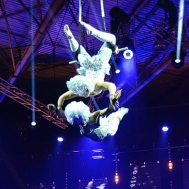 Lisa Whitmore and Joanna Palmer, doubles trapeze.